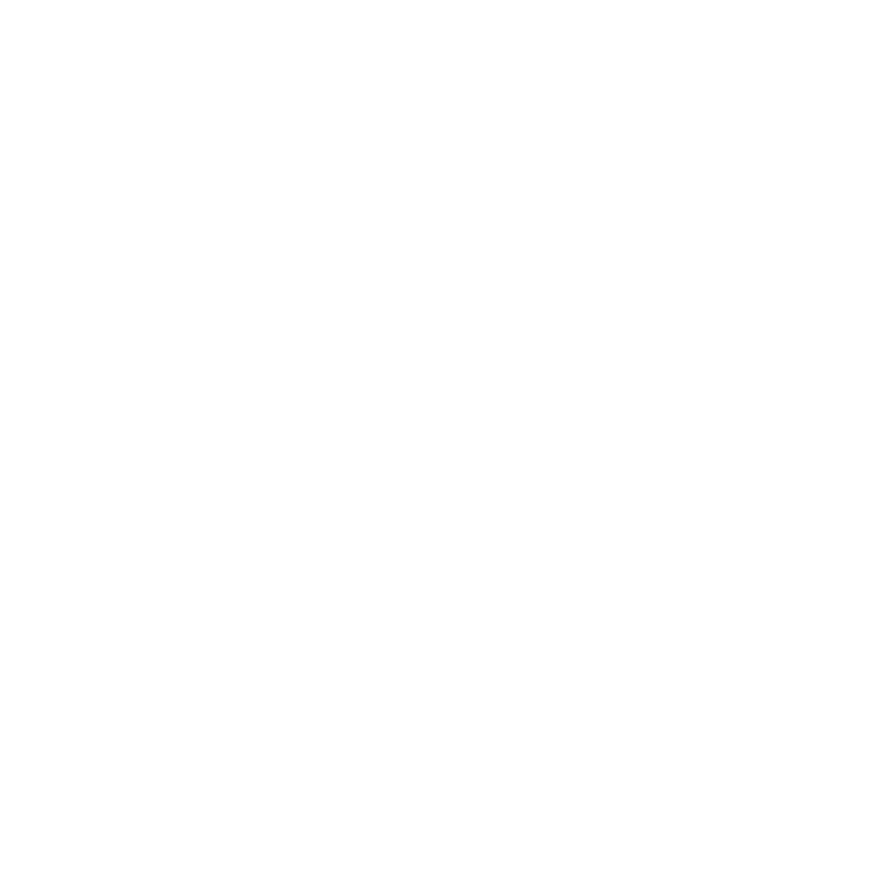 SIKG-Boarding_icon-02