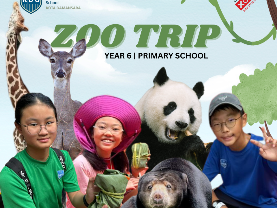 Zoo Trip Year 6