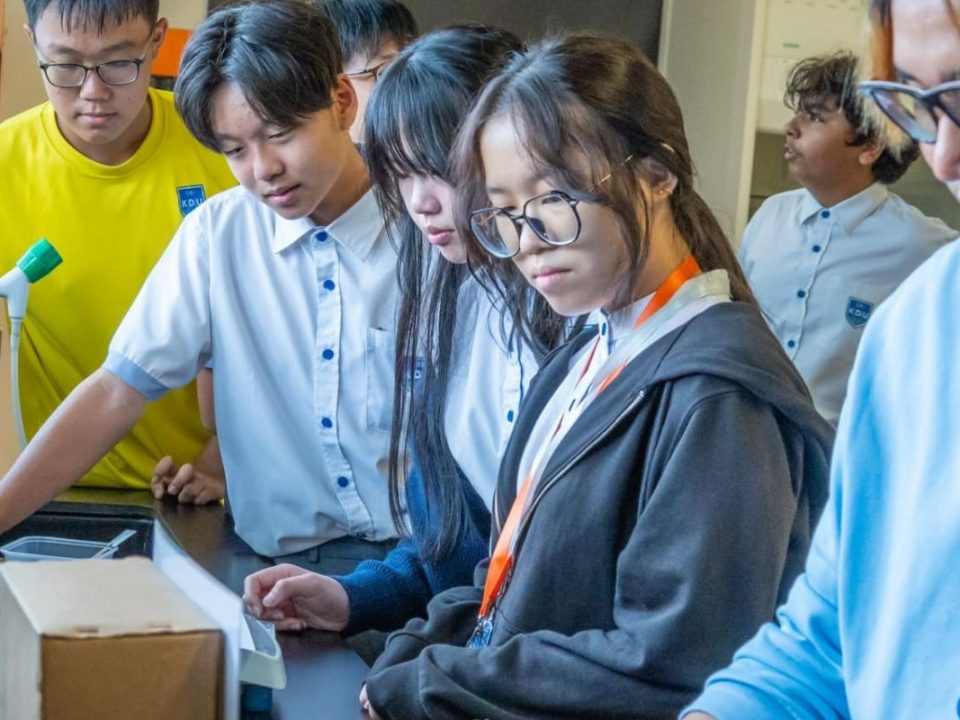 Secondary students had an engaging and informative mole activity during their science lesson, enhancing their understanding of chemical concepts through hands-on learning.