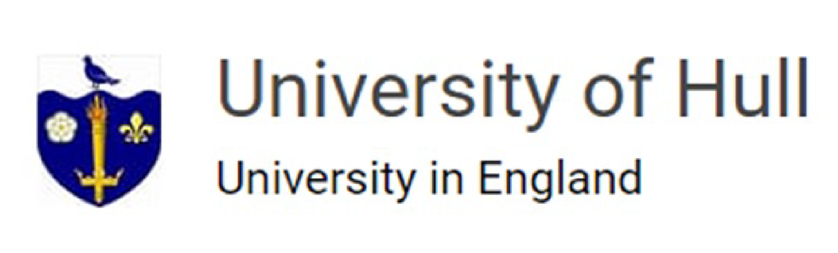 University of Hull Logo